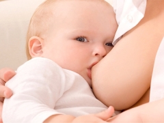 स्तन दूध की संरचना, वसा सामग्री और तापमान