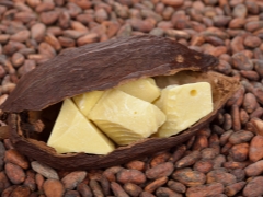 Çocuklar için öksürük kakao yağı