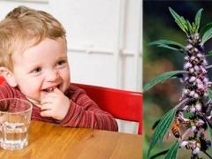 Is it possible to give motherwort to children?