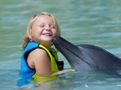 Dolfijntherapie en de voordelen ervan voor kinderen