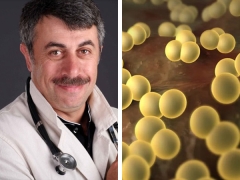 Doctor Komarovsky over Staphylococcus aureus