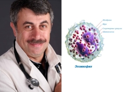 Dr. Komarovsky over eosinofielen