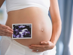 Vid vilken tidpunkt gör den tredje ultraljuden under graviditeten och på vilka indikatornivåer att fokusera?