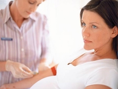 Normer av protein i blodet under graviditeten och orsaker till avvikelser