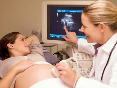 Ultraljud under den 13: e veckan av graviditeten: fostrets storlek och andra egenskaper