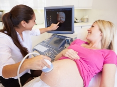Ultraljud i den 16: e veckan av graviditeten: fostrets storlek och andra egenskaper