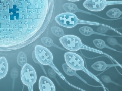 Apakah morfologi corak sperma, apa norma wujud dan bagaimana untuk meningkatkan prestasi?