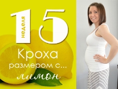 15 haftalık gebelik: cenin ve hamile annenin başına ne gelir?