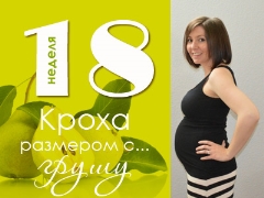 18 veckors graviditet: vad händer med fostret och den förväntade mamman?