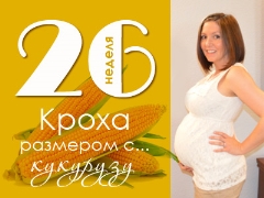 26 veckors graviditet: vad händer med fostret och den förväntade mamman?