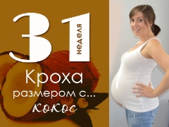 31 week zwangerschap: wat gebeurt er met de foetus en de aanstaande moeder?