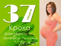 임신 37 주 : 태아와 임산부는 어떻게됩니까?