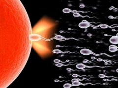 Vad är normozoospermi och är det lätt att bli gravid med det?