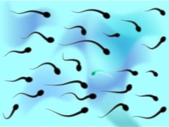 Какво е олигозооспермия и как влияе на зачеването?