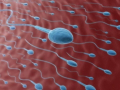 पियोस्पर्मिया क्या है और यह गर्भाधान को कैसे प्रभावित करता है?