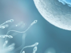 How does sperm motility affect conception success?
