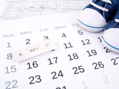 Menštruačný kalendár pre koncepciu: kalkulačka najvhodnejších dní