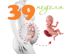 Gebeliğin 39. haftasında fetüs: normlar ve özellikler