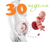 Fosterutveckling vid 30 veckors graviditet
