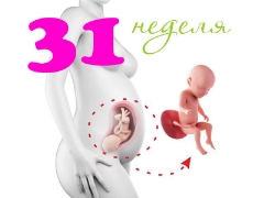 Gebeliğin 31. haftasında fetal gelişim