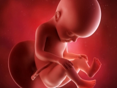 Vad betyder central placenta previa under graviditeten och vad påverkar det?