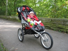 Three-wheeled strollers: features of choice and review of popular models
