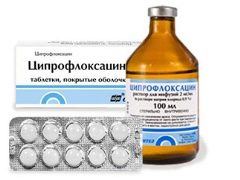 어린이를위한 Ciprofloxacin : 사용 지침
