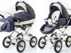 Esperanza barnvagnar: fördelar och subtiliteter av val