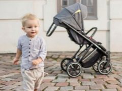 Noordi bebek arabaları: özellikleri, menzile genel bakış ve seçim için ipuçları