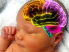 어린이의 유기 뇌 손상 (뇌증)
