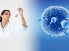 IVF sırasında embriyo transferinden sonra sıcaklığın özellikleri