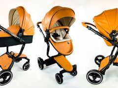 Foo Foo bebek arabası: model yelpazesi ve seçtiğiniz için ipuçları