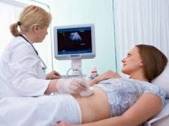 Gebelik haftasına göre fetal gelişim