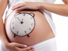 임신이 몇 주 동안 지속되고 그 임신은 무엇에 달려 있습니까?