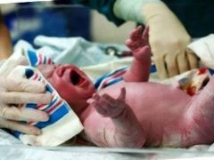 Newborn asphyxia: from cause to effect