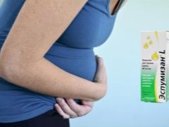  Espumizan أثناء الحمل: تعليمات للاستخدام