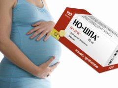  No-shpa tijdens zwangerschap: instructies voor gebruik
