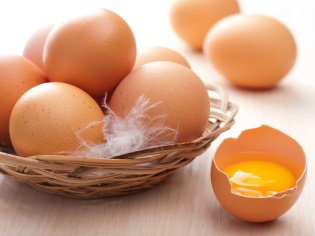 닭고기 달걀