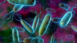 E. coli v moči dieťaťa