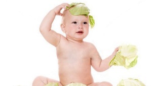 아기 흰 양배추는 언제 제공 할 수 있습니까?
