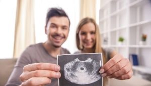 첫 임신의 초음파 검사 : 용어 및 규범