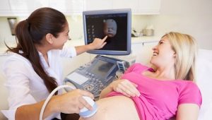 Gebeliğin 16. haftasında ultrason: fetal beden ve diğer özellikler