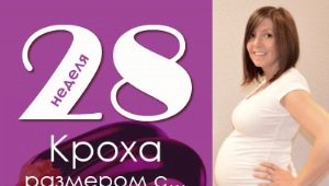 28 veckors graviditet: vad händer med fostret och den förväntade mamman?