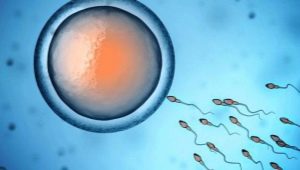 Какво е олигоспермия и как влияе на зачеването?