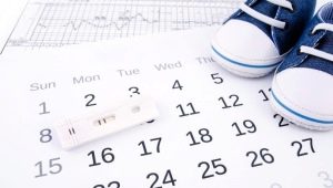 Menštruačný kalendár pre koncepciu: kalkulačka najvhodnejších dní
