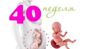 임신 40 주 태아의 태아 : 규범 및 특성