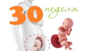 Fosterutveckling vid 30 veckors graviditet