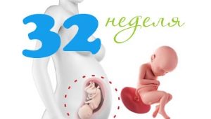 임신 32 주 태아 발달