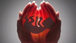 Tüp Bebek Hastalığının Kadın Sağlığına Etkisi: Avantaj ve Dezavantajları