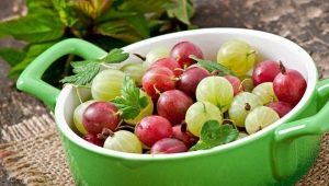 Kærsbær i amning og baby fodring